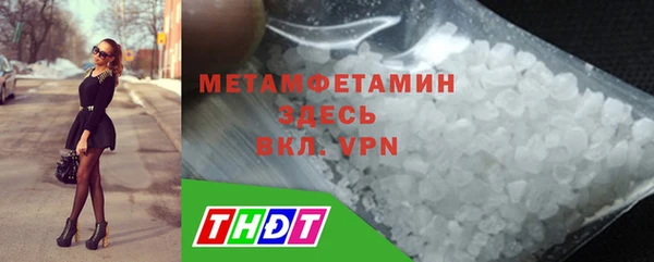 прущие грибы Корсаков