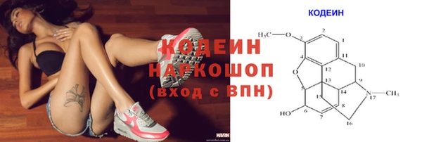 прущие грибы Корсаков