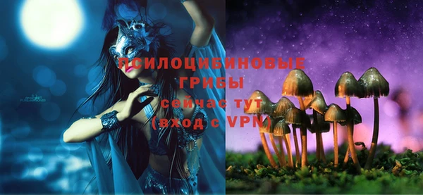 прущие грибы Корсаков
