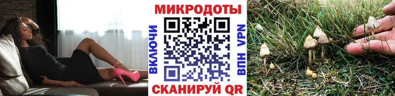 мега   купить  сайты  Каспийск  Псилоцибиновые грибы прущие грибы 